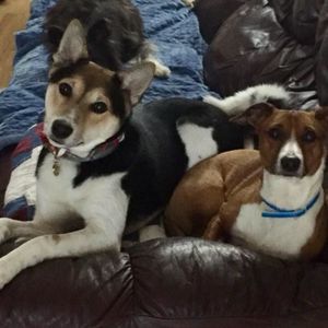 Meet your Posher, Sherri